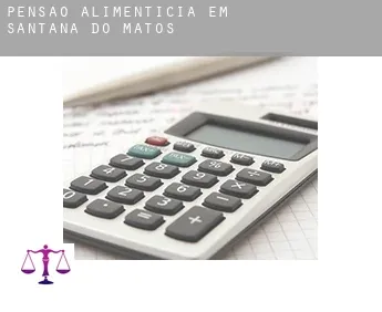 Pensão alimentícia em  Santana do Matos