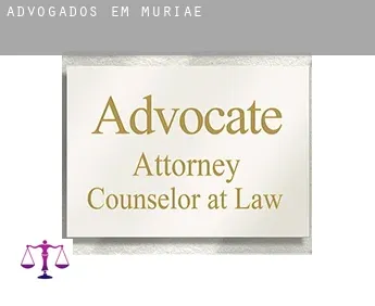 Advogados em  Muriaé