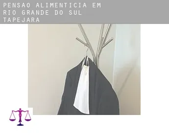 Pensão alimentícia em  Tapejara (Rio Grande do Sul)