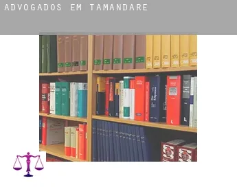 Advogados em  Tamandaré