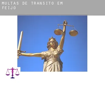 Multas de trânsito em  Feijó