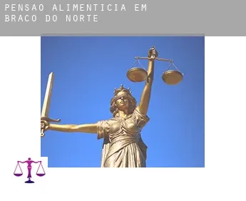 Pensão alimentícia em  Braço do Norte