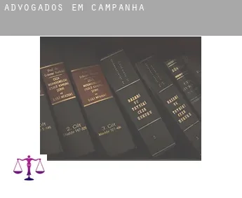 Advogados em  Campanha