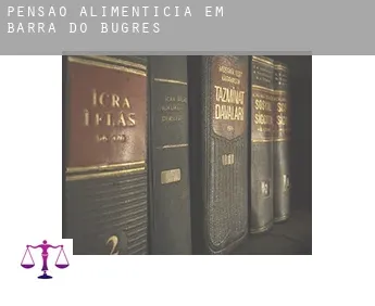 Pensão alimentícia em  Barra do Bugres