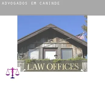 Advogados em  Canindé