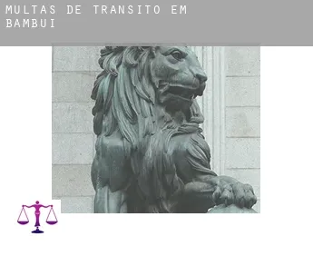 Multas de trânsito em  Bambuí