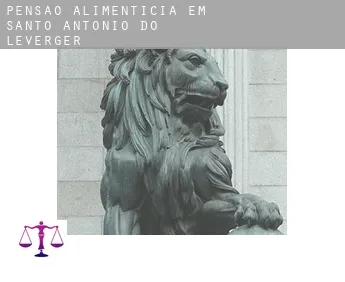 Pensão alimentícia em  Santo Antônio do Leverger