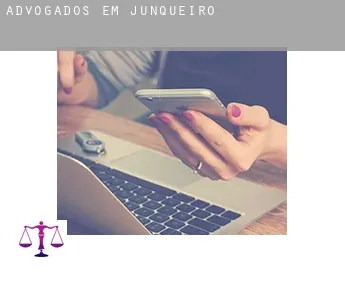 Advogados em  Junqueiro