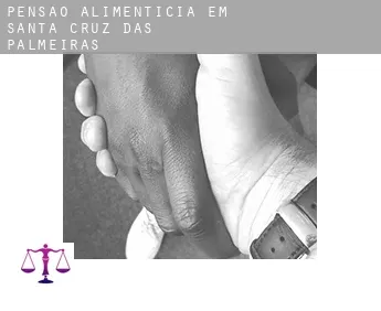 Pensão alimentícia em  Santa Cruz das Palmeiras